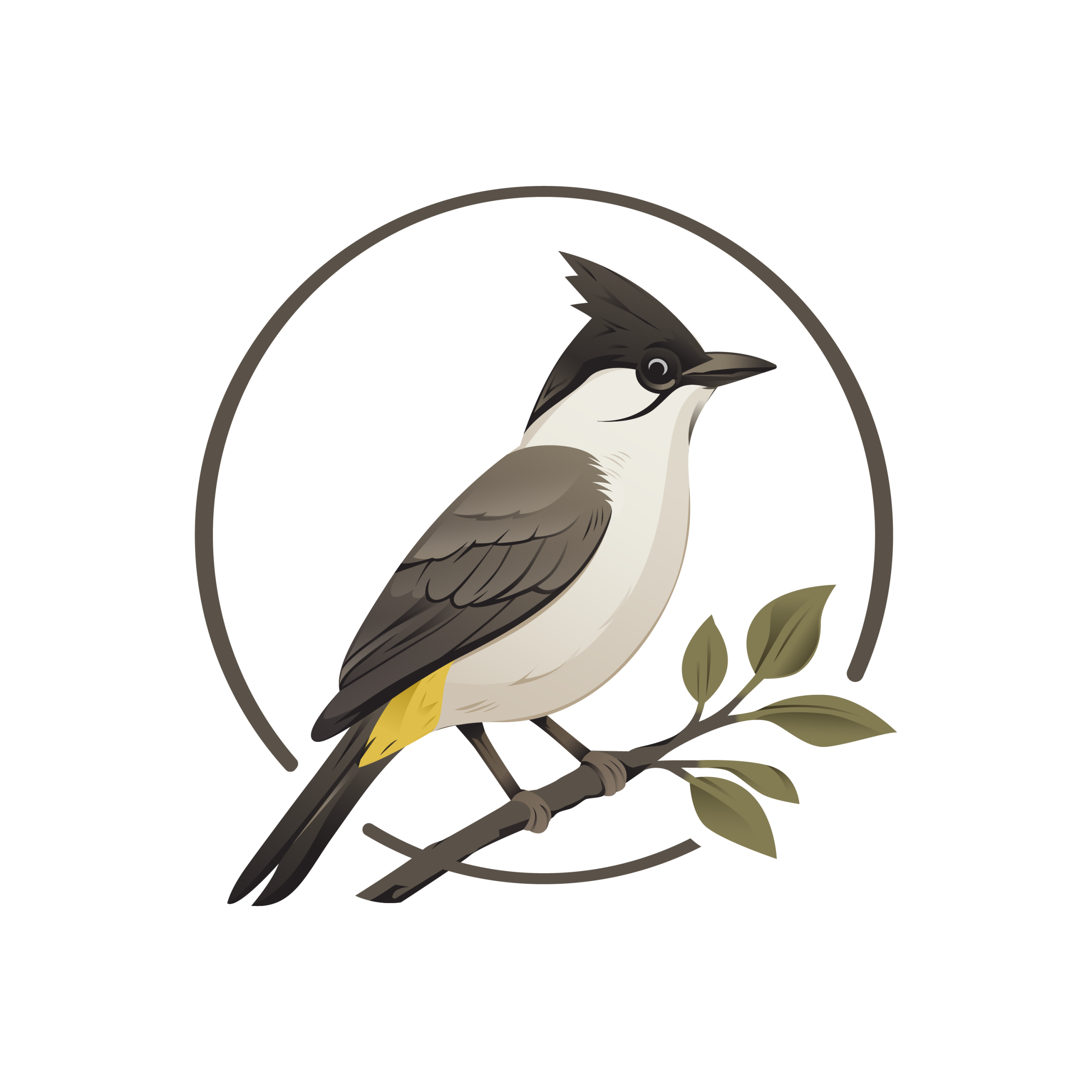 why-choose-us Large Bulbul Logo